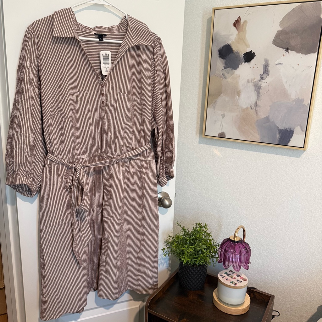 Nwt Torrid Long Sleeve Striped Dress - Brown Size 3